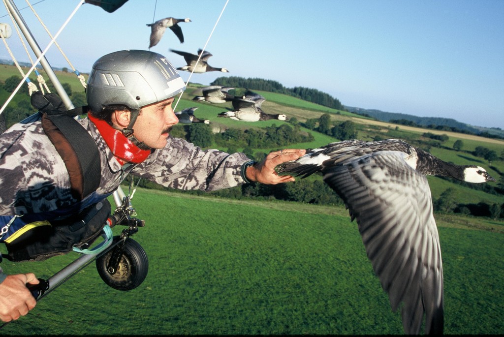 Voler avec Les Oiseaux Auvergne - Saint-Simon visuel 3/8