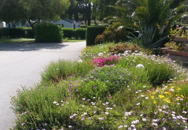 West Camping Bretagne - Perros-Guirec visuel 2/3