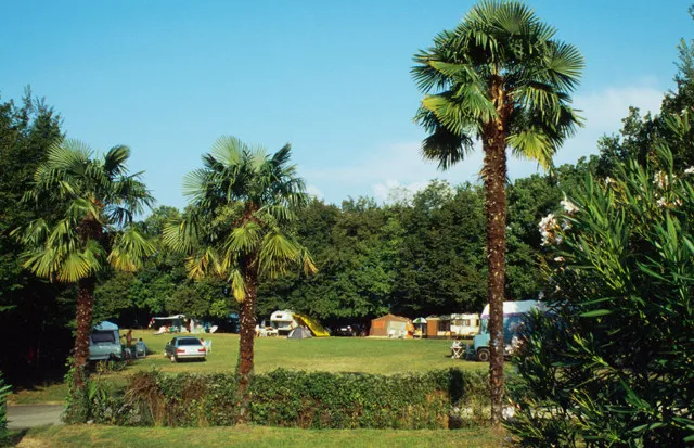 Camping Zocco Lombardie - Manerba del Garda visuel 4/9