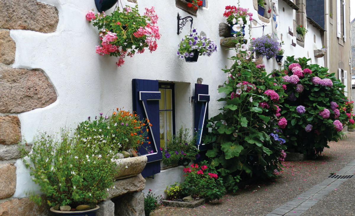 Bois de Bayadène Pays de Loire - Piriac-sur-Mer visuel 5/10