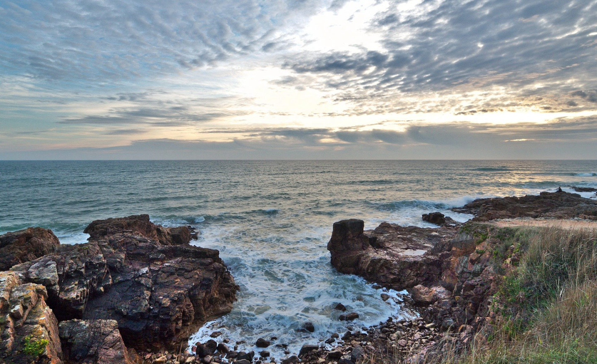 Bois de Bayadène Pays de Loire - Piriac-sur-Mer visuel 8/10