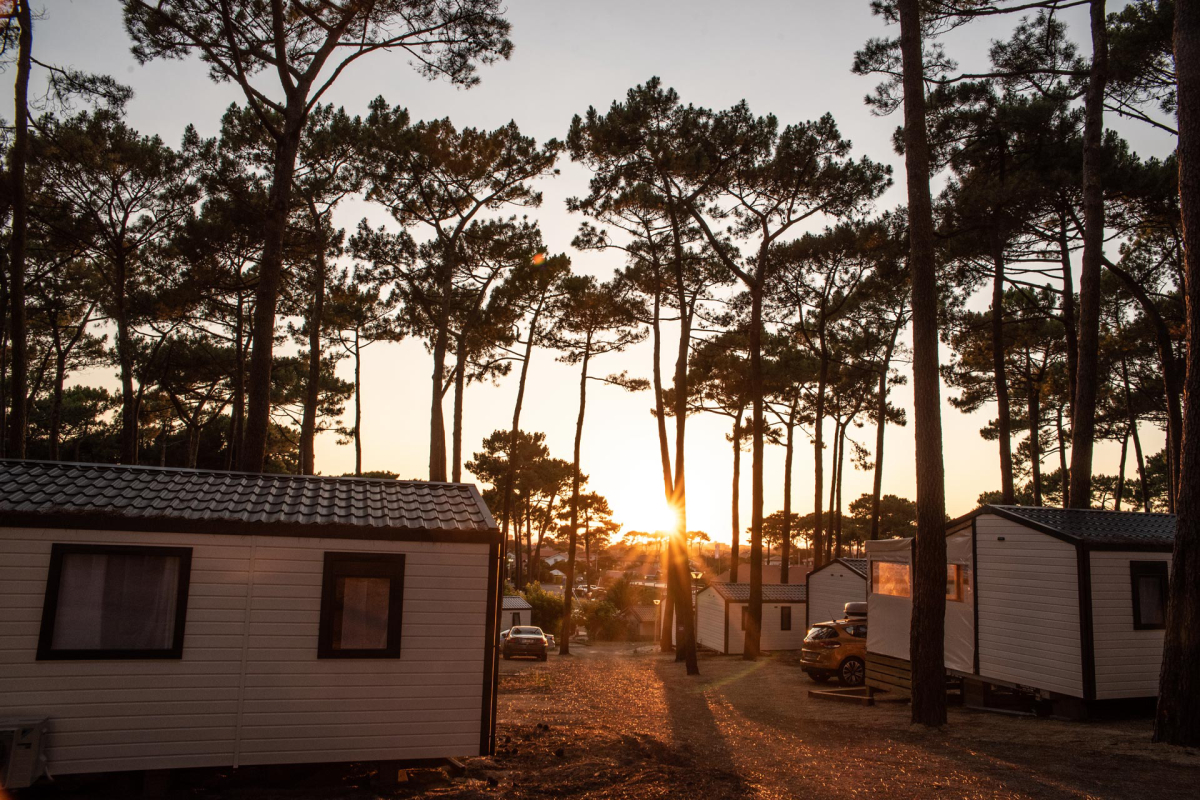 Campéole Plage Sud Aquitaine - Biscarrosse-Plage visuel 8/22