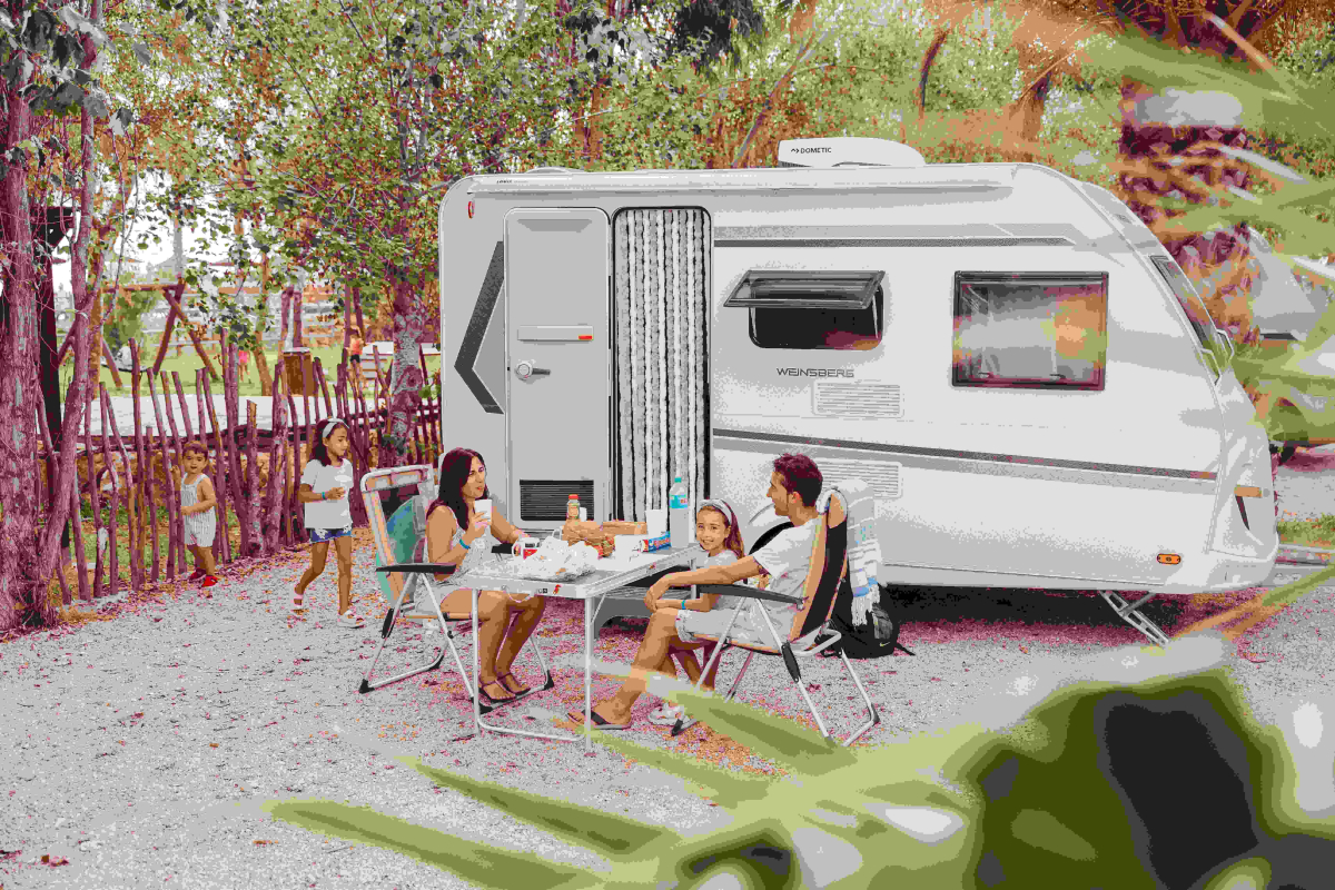 Taiga Delta de l'Ebre Costa Dorada - L'Ampolla visuel 12/16