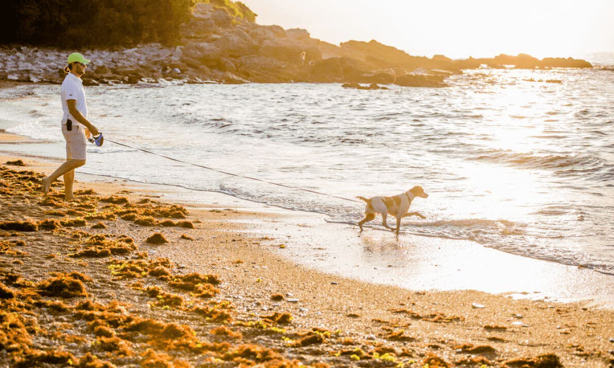 Atlantica Aquitaine - Saint-Jean-de-Luz visuel 11/12