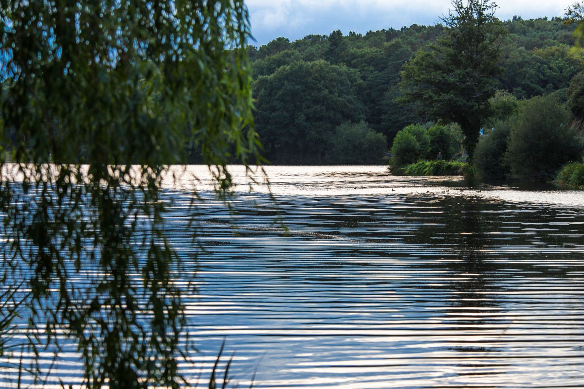Au Gré des Vents Bretagne - Rochefort-en-Terre visuel 13/13 Au Gré des Vents Bretagne - Rochefort-en-Terre visuel 13/13