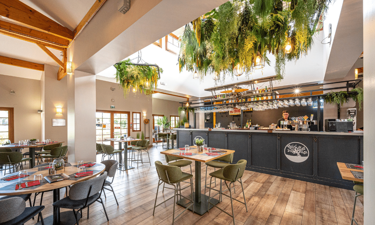 Au Lac de Biscarrosse Aquitaine - Parentis-en-Born visuel 13/18 Au Lac de Biscarrosse Aquitaine - Parentis-en-Born visuel 13/18