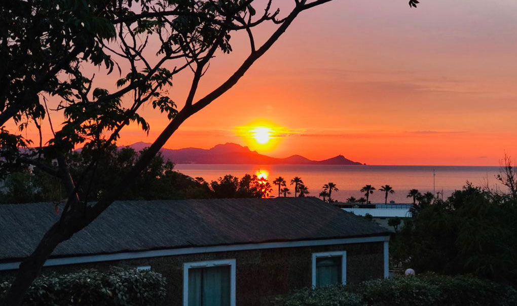 Au Paradis des Campeurs Provence-Alpes-Côte d'Azur - Roquebrune-sur Argens visuel 4/17