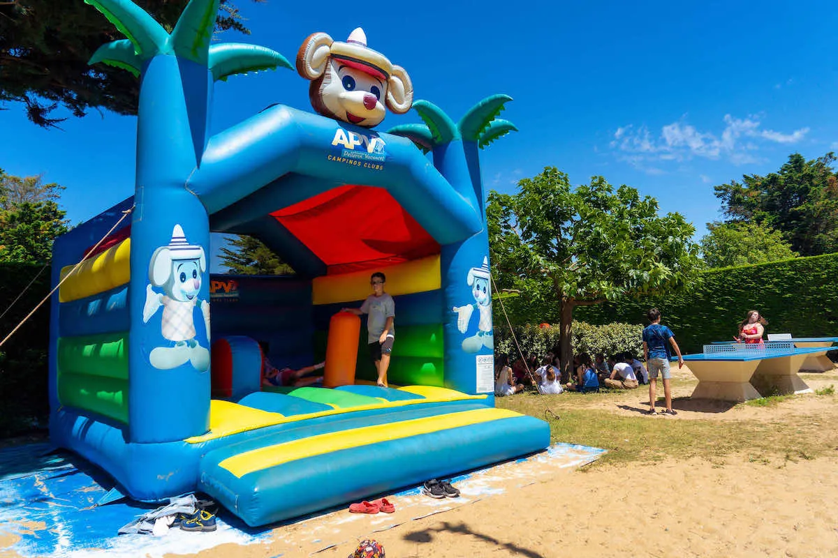 Camping Au Val de Loire en Ré Poitou-Charentes - Le Bois-Plage-en-Ré visuel 6/19