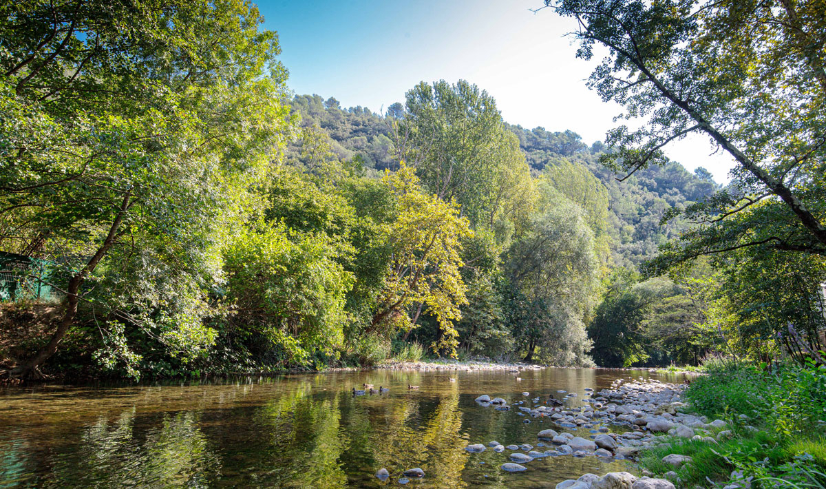 Au Vallon Rouge Provence-Alpes-Côte d'Azur - La Colle-sur-Loup visuel 15/27