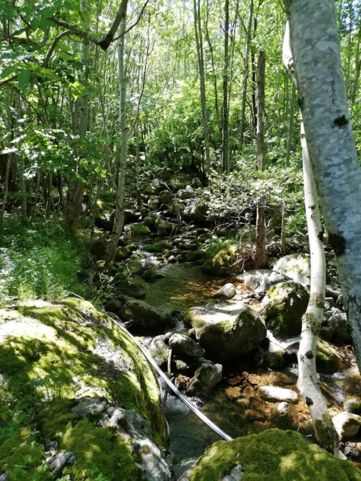 Camping Auprés de mon Arbre Rhône-Alpes - Mayres visuel 3/3