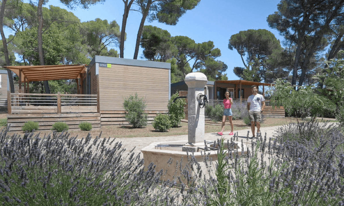 Avignon Parc Provence-Alpes-Côte d'Azur - Vedène visuel 14/16 Avignon Parc Provence-Alpes-Côte d'Azur - Vedène visuel 14/16