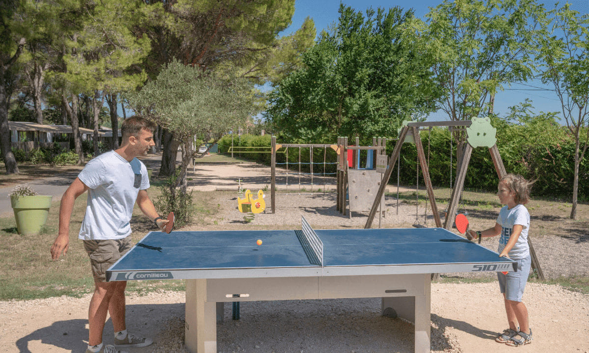 Avignon Parc Provence-Alpes-Côte d'Azur - Vedène visuel 10/16 Avignon Parc Provence-Alpes-Côte d'Azur - Vedène visuel 10/16