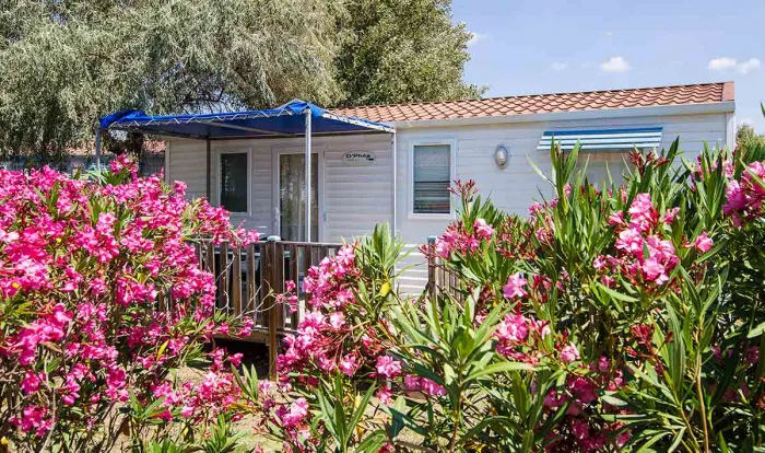 Camping Beau Rivage Languedoc-Roussillon - Mèze visuel 5/30