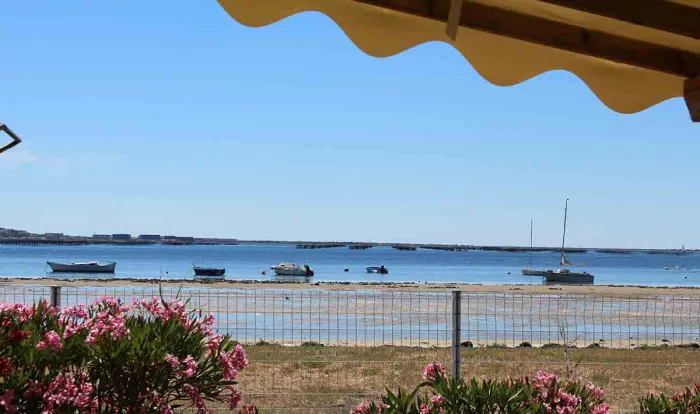 Camping Beau Rivage Languedoc-Roussillon - Mèze visuel 7/30