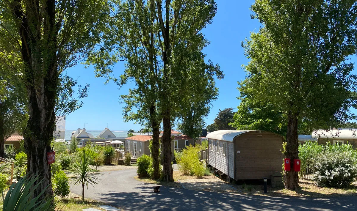 Camping Bel Air Pays de Loire - Pornichet visuel 6/15
