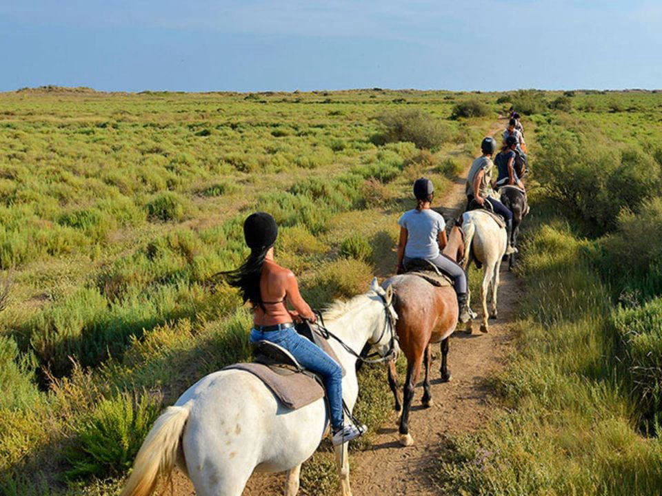 Bleu Marine Languedoc-Roussillon - Sérignan visuel 25/27