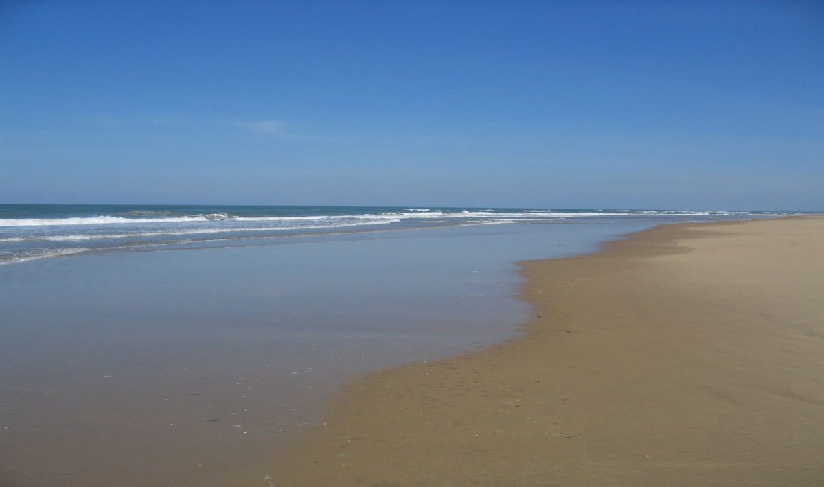 Bonne Anse Plage Poitou-Charentes - Les Mathes-La Palmyre visuel 21/21