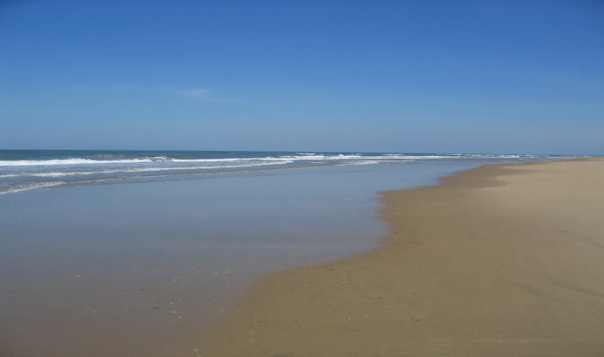 Camping Bonne Anse Plage Poitou-Charentes - Les Mathes-La Palmyre visuel 21/21