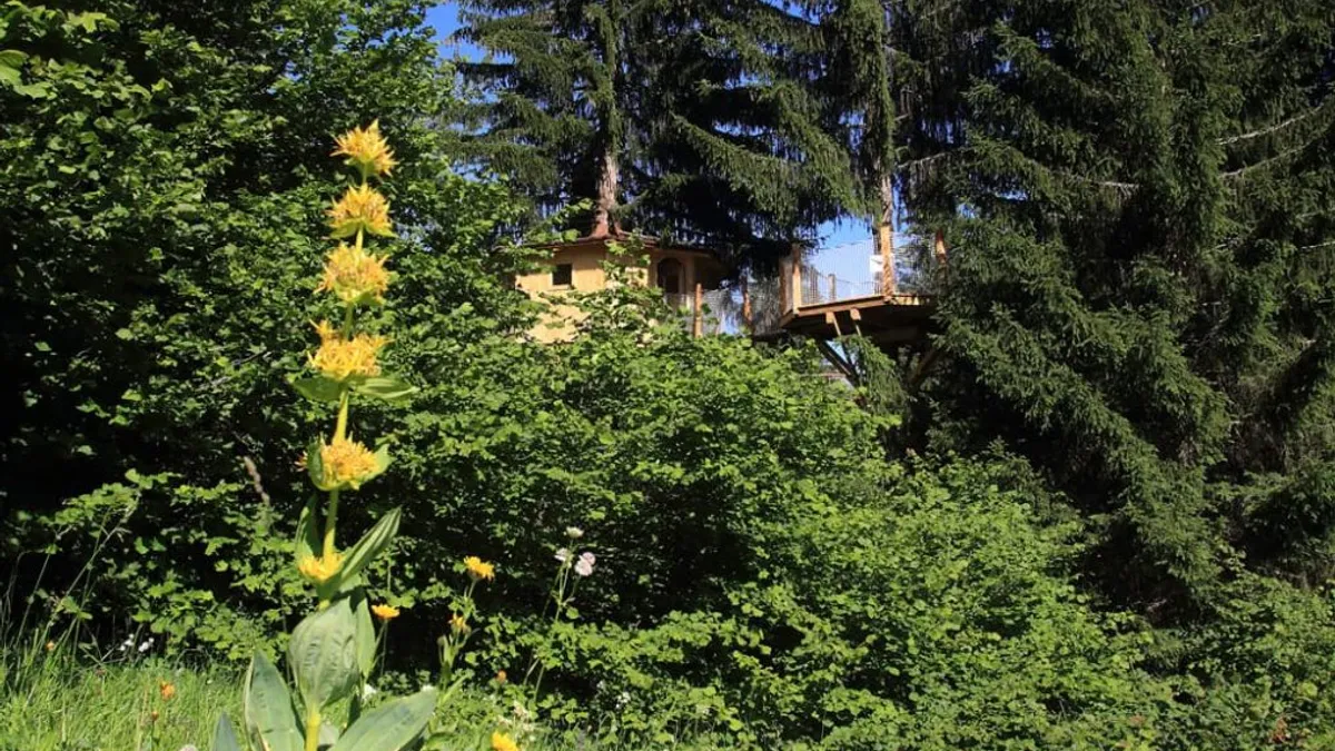 Camping Cabanes du Mont-Blanc Rhône-Alpes - Passy visuel 19/23