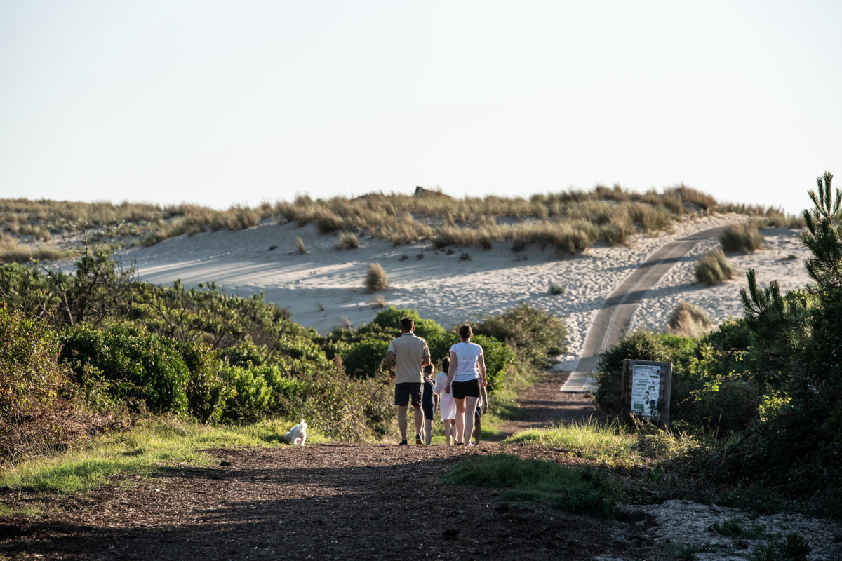 Campéole Les Tourterelles Aquitaine - Saint-Girons visuel 20/21