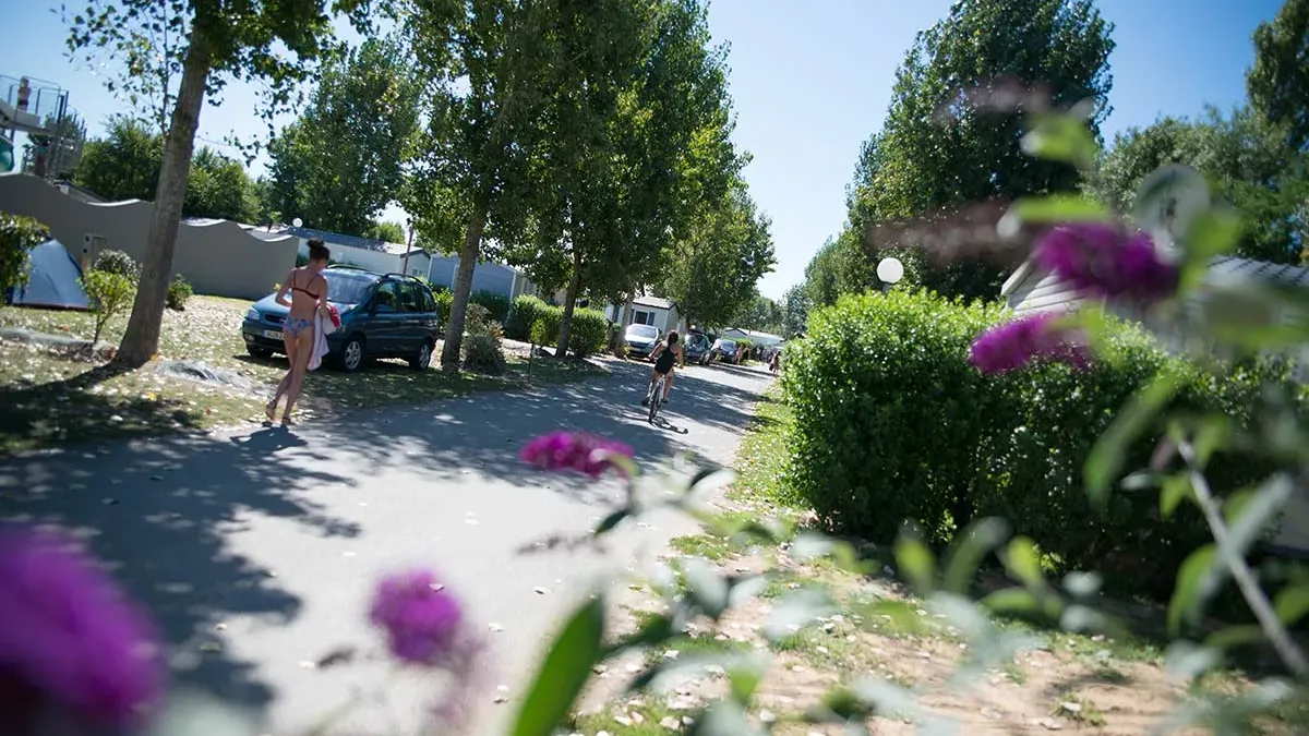 Camping au Vents des Marais Pays de Loire - Longeville sur Mer visuel 7/17