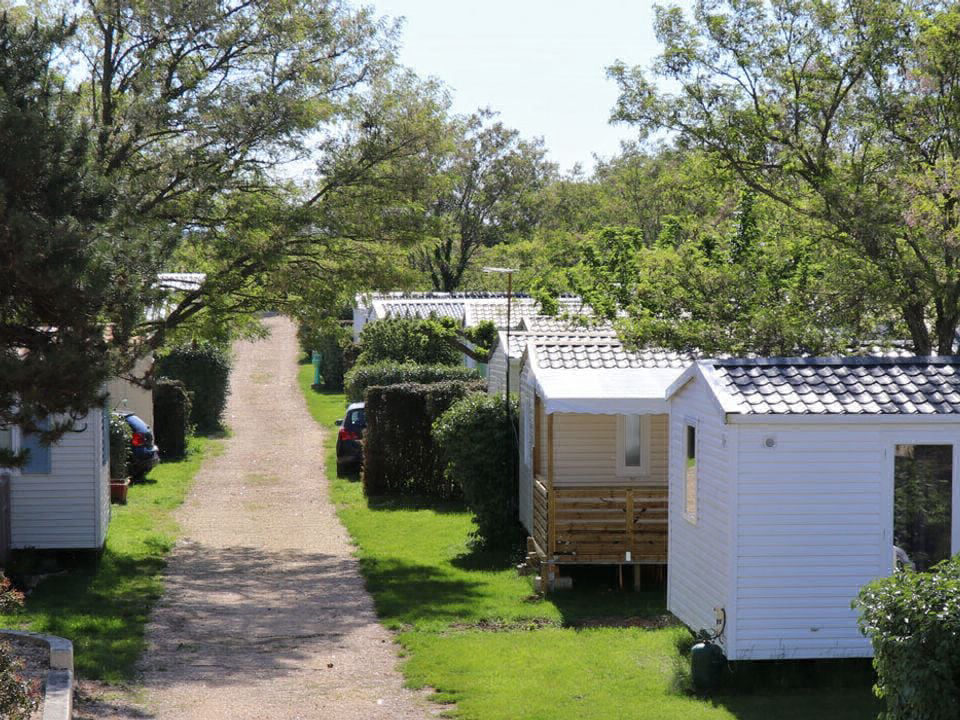 Camping Carrefour de l'Ardèche Rhône-Alpes - Saint-Remèze visuel 5/8