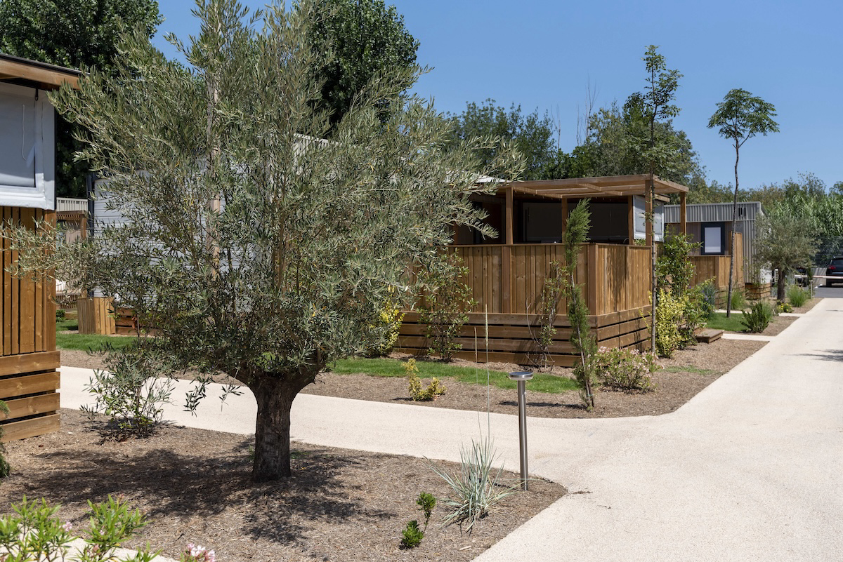 Camping Club Le Littoral MS Vacances - Languedoc-Roussillon - Argelès-sur-Mer visuel 16/32