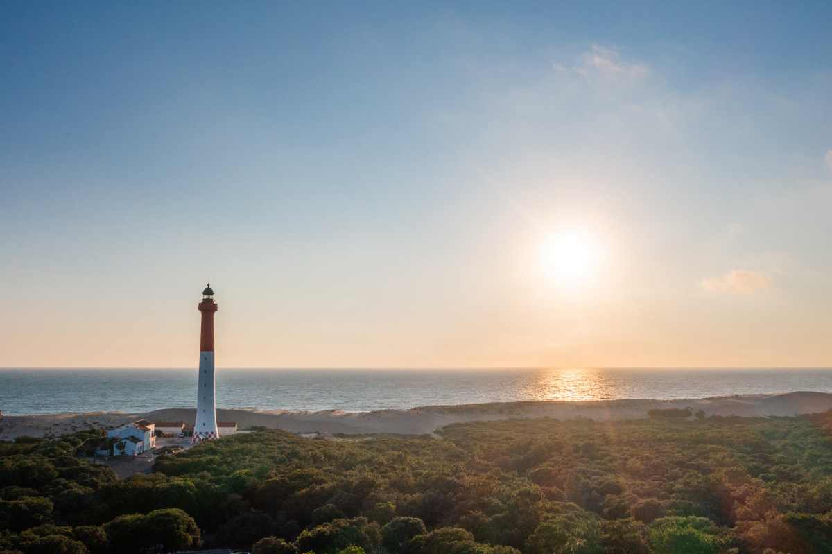 Camping Club MS La Côte Sauvage Poitou-Charentes - Les Mathes-La Palmyre visuel 22/22