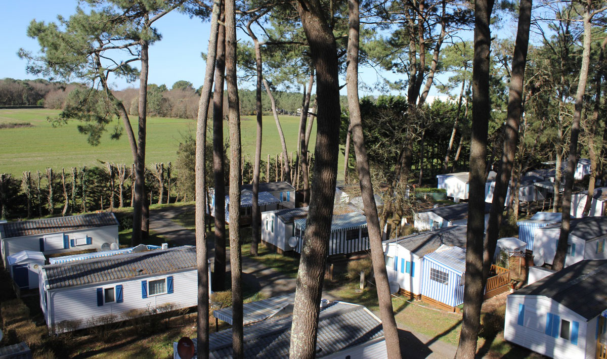 Camping de l'Orée des Pins Pays de Loire - Saint-Hilaire-de-Riez visuel 2/4