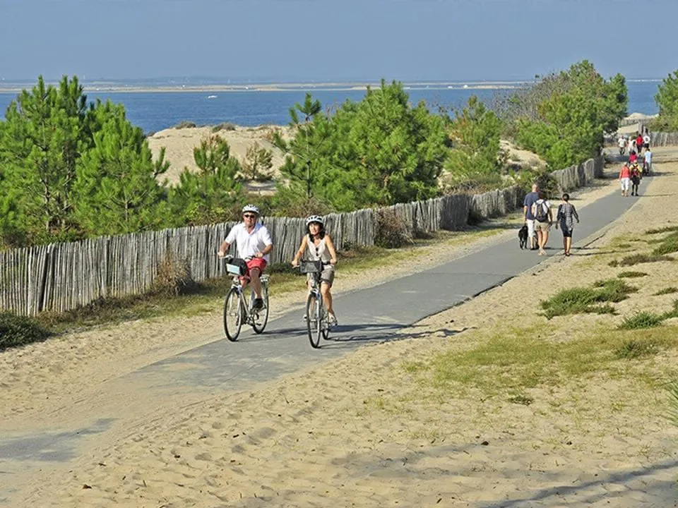 Camping de la Plage Aquitaine - Mimizan visuel 9/10
