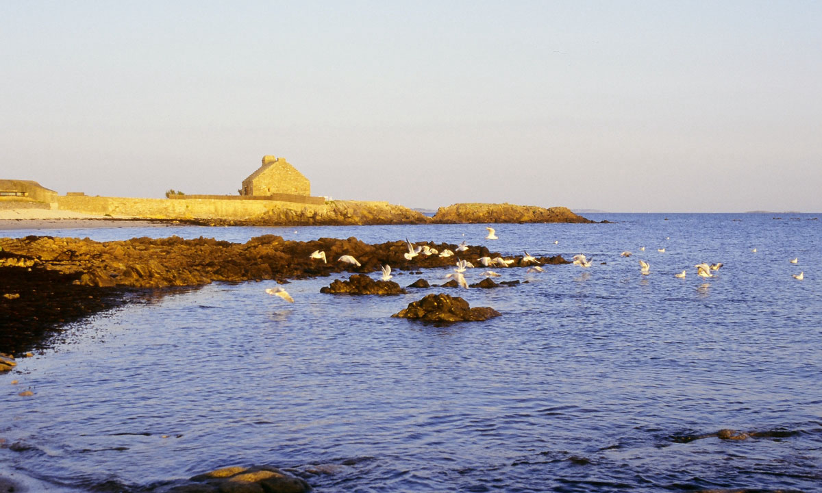 Camping de la Plage Bretagne - La Trinité-sur-Mer visuel 22/22