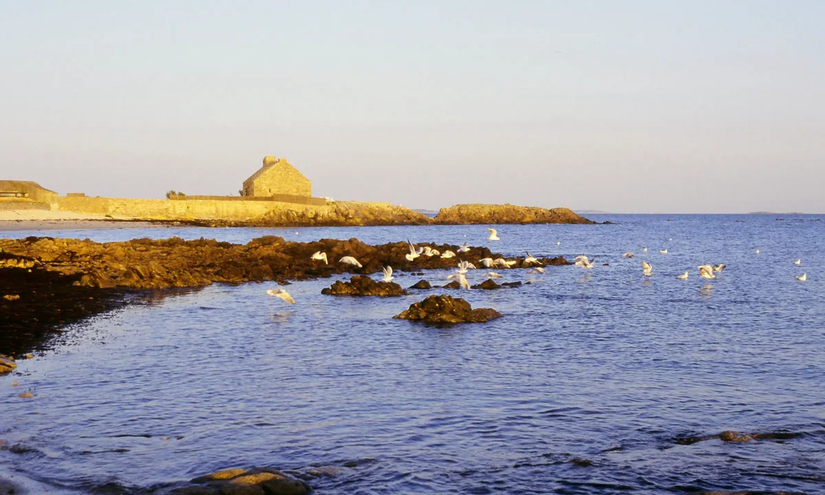 Camping de la Plage Bretagne - La Trinité-sur-Mer visuel 22/22