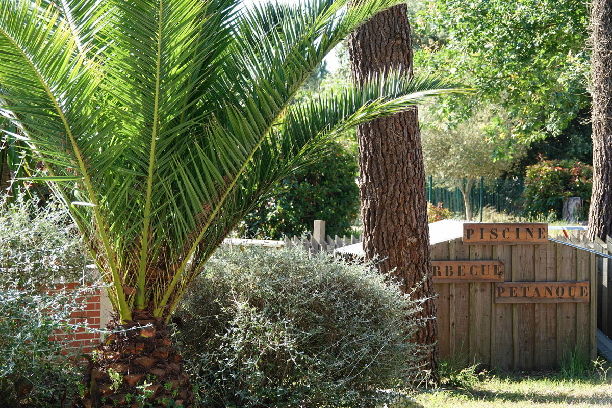 Camping des Pins Aquitaine - Soulac-sur-Mer visuel 7/22