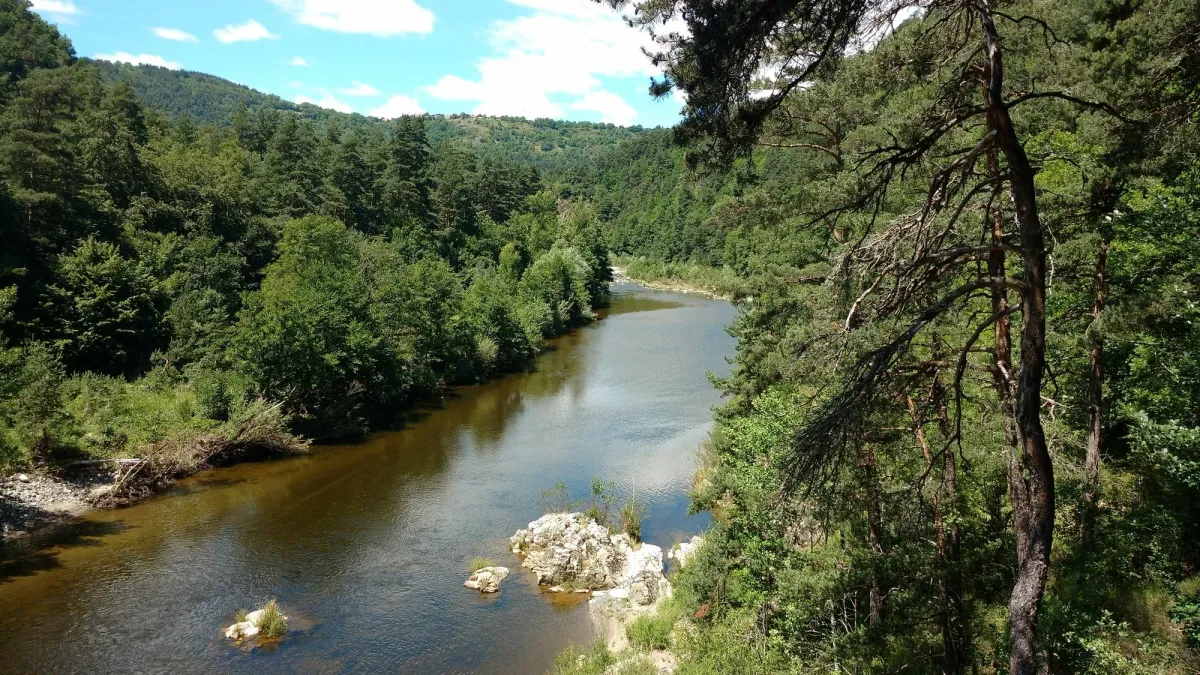 Camping Le Vivier Auvergne - Monistrol-d'Allier visuel 8/12