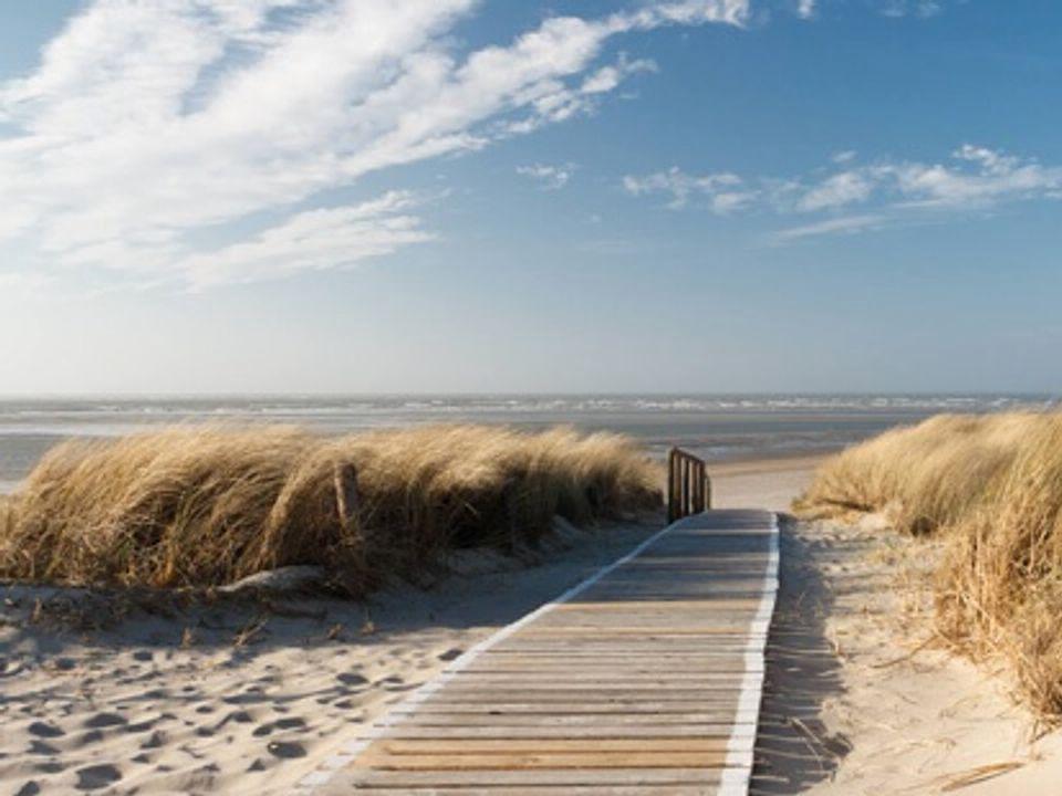 Camping Les Bois Flottés Provence-Alpes-Côte d'Azur - Arles visuel 8/8