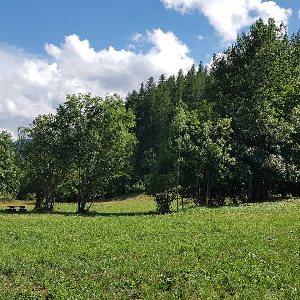Camping municipal Le Freyssinet Provence-Alpes-Côte d'Azur - Vallouise visuel 2/3