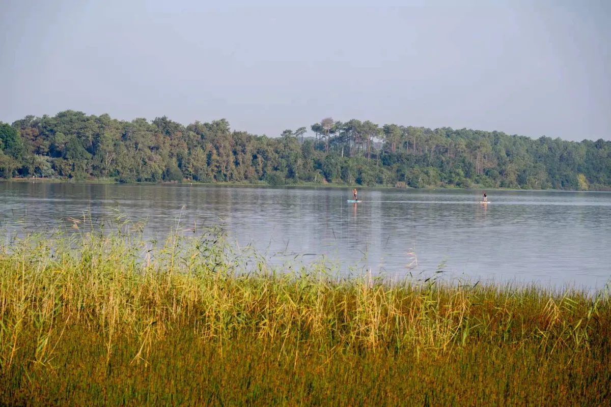 Camping Rivages des Landes Aquitaine - Aureilhan visuel 4/24