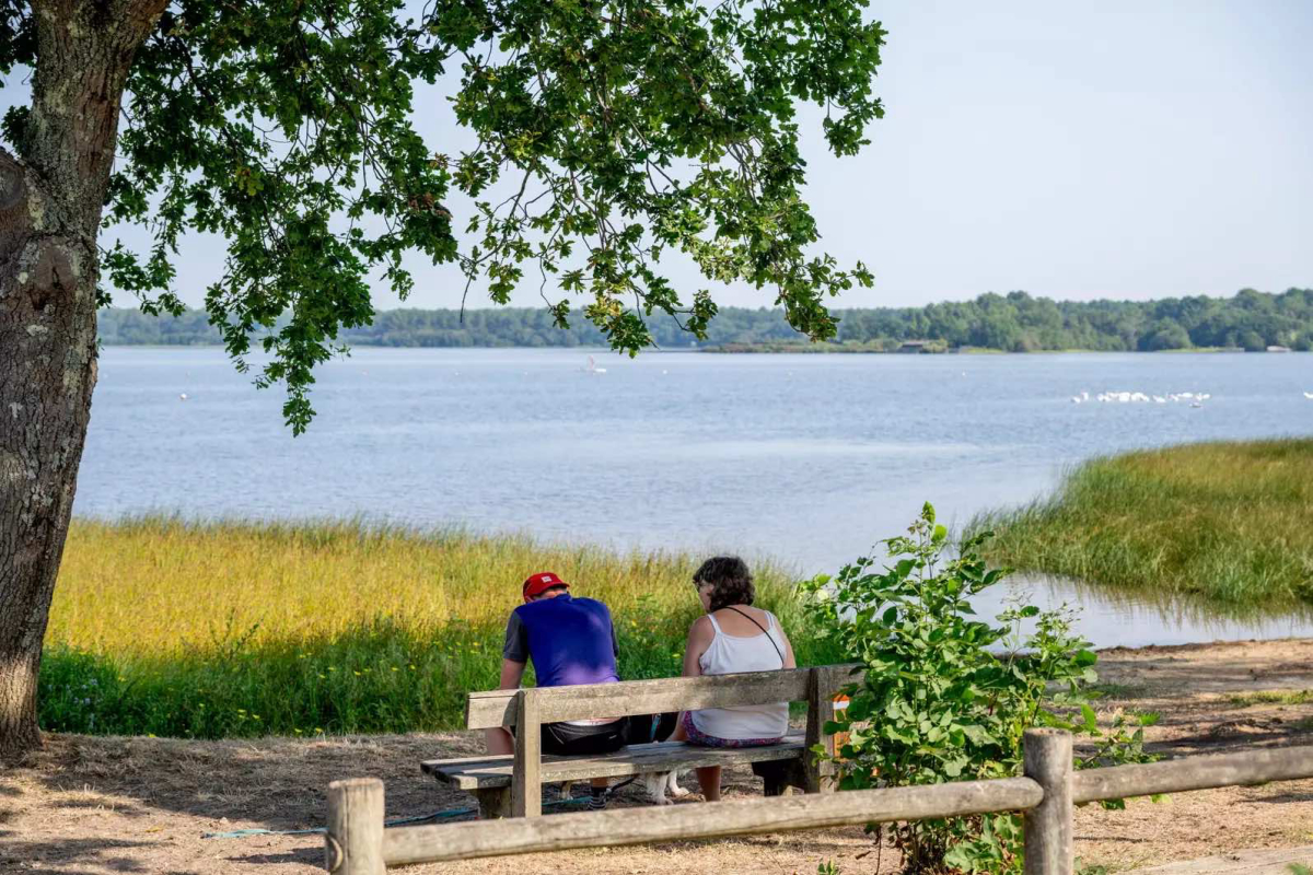 Camping Rivages des Landes Aquitaine - Aureilhan visuel 3/24