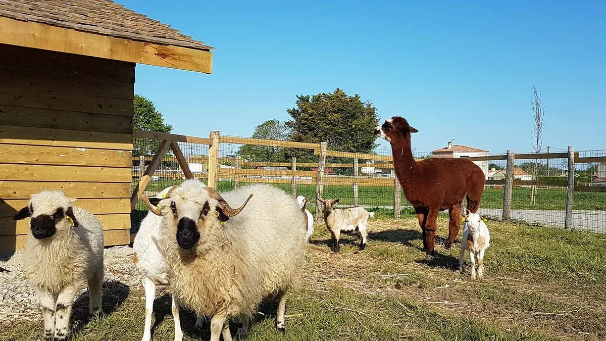 Camping Yelloh! Village Le Ranch Pays de Loire - La Plaine-sur-Mer visuel 10/15