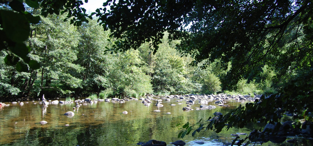 Chon Du Tarn Languedoc-Roussillon - Bédouès visuel 4/5