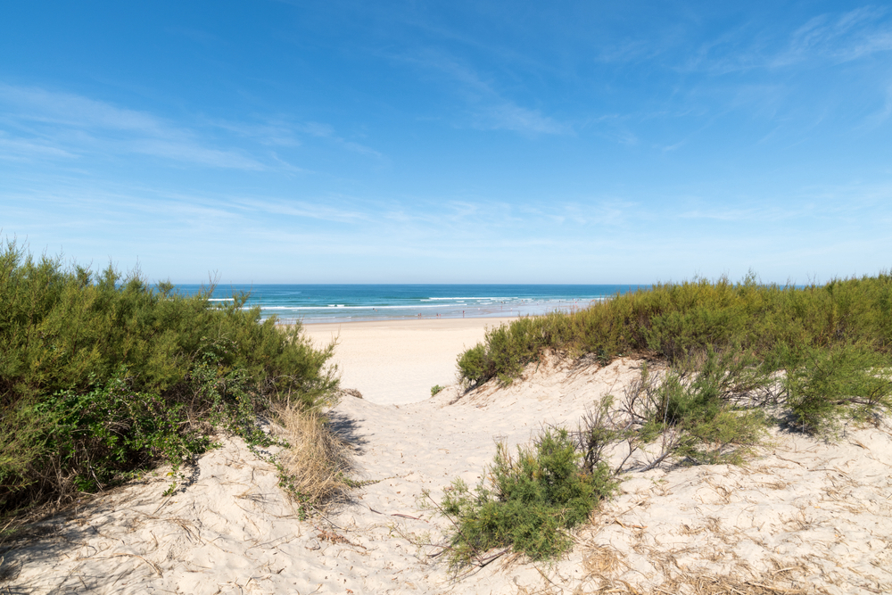 Club Marina Landes Aquitaine - Mimizan visuel 2/2