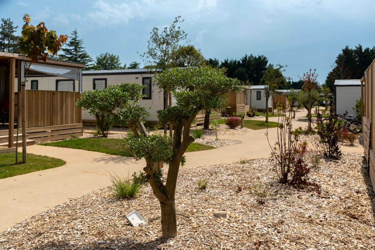 Camping Club MS Le Trianon Pays de Loire - Les Sables-d'Olonne visuel 18/22