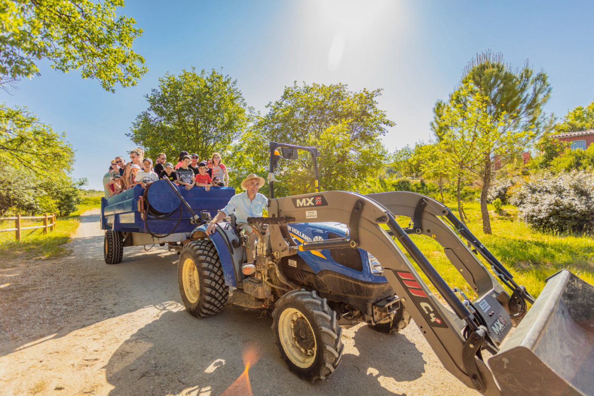 Domaine D'anglas Languedoc-Roussillon - Brissac visuel 3/6