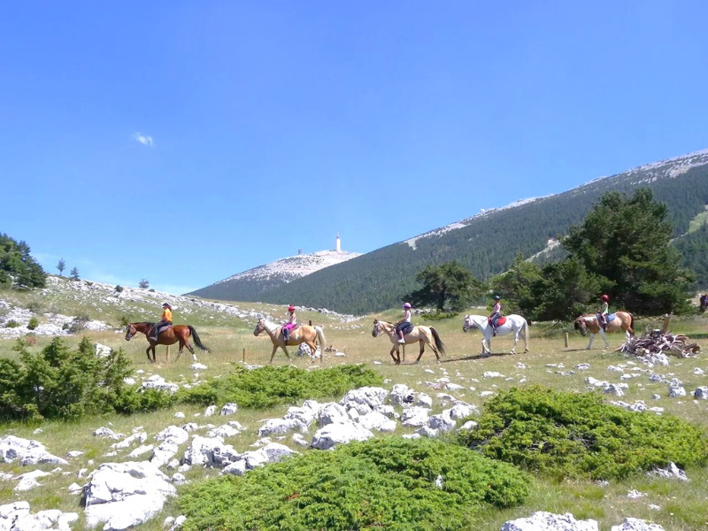 Domaine des Chênes Blancs Provence-Alpes-Côte d'Azur - Saint-Saturnin-lès-Apt visuel 17/27