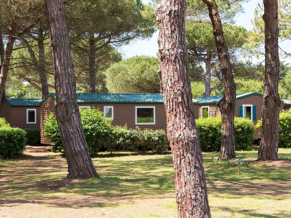 Camping Tamarins Plage Poitou-Charentes - Le Bois-Plage-en-Ré visuel 8/9