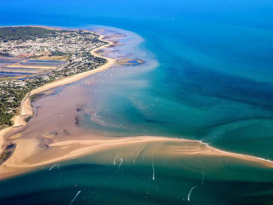 Camping Tamarins Plage Poitou-Charentes - Le Bois-Plage-en-Ré visuel 9/9