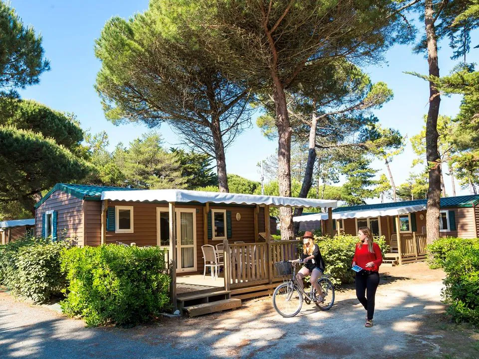 Camping Tamarins Plage Poitou-Charentes - Le Bois-Plage-en-Ré visuel 2/9