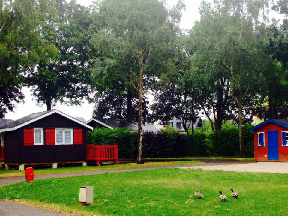 du Mûrier Pays de Loire - Craon visuel 3/4