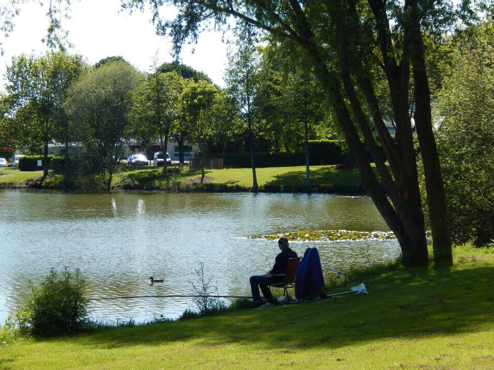 du Mûrier Pays de Loire - Craon visuel 2/4