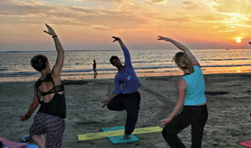 Entre Mer Et Forêt Poitou-Charentes - Meschers-sur-Gironde visuel 3/13